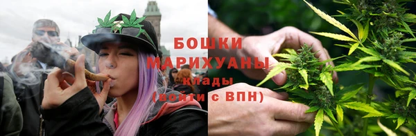 хмурый Инсар