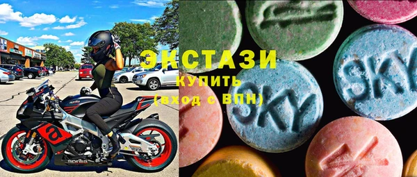 spice Инта