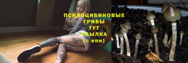 хмурый Инсар