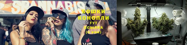 хмурый Инсар