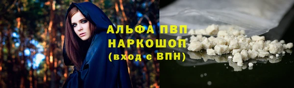 хмурый Инсар