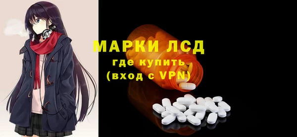 хмурый Инсар