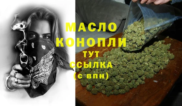 spice Инта