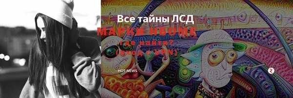 spice Инта