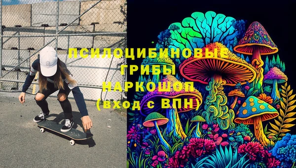 хмурый Инсар