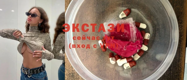 spice Инта