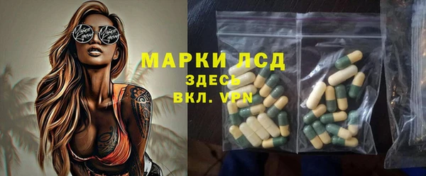 spice Инта