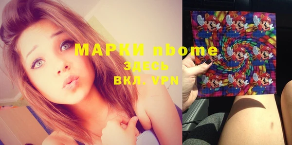 spice Инта