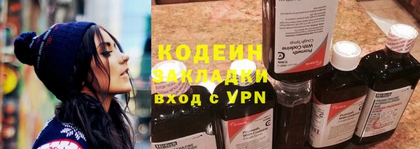 spice Инта